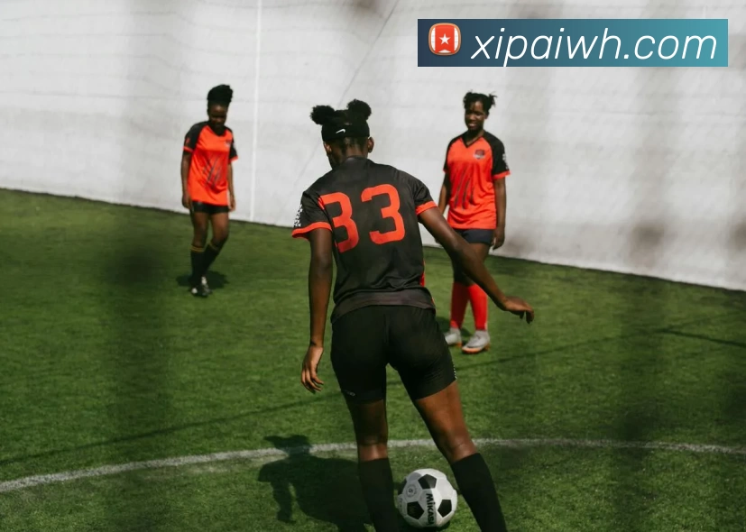 多媒体互动体验